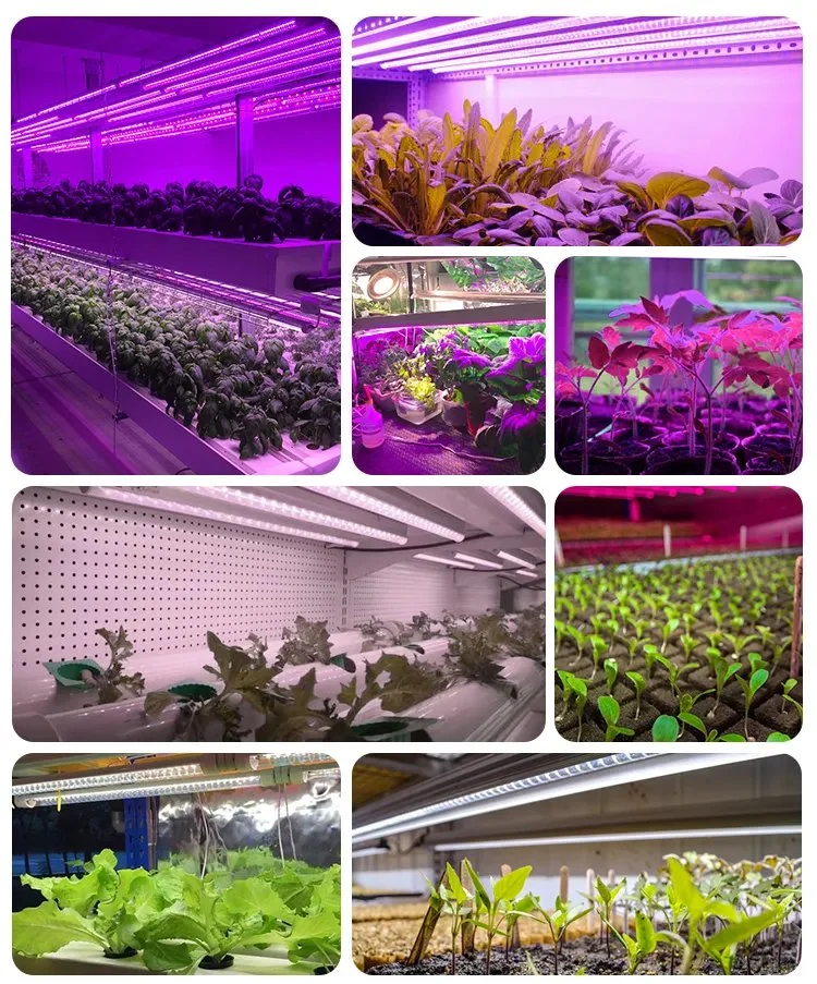 Wholesale T8 Linkable Growing Light Tube Full Spectrum LED Grow Light for Indoor Plants Grow Lighting Systems