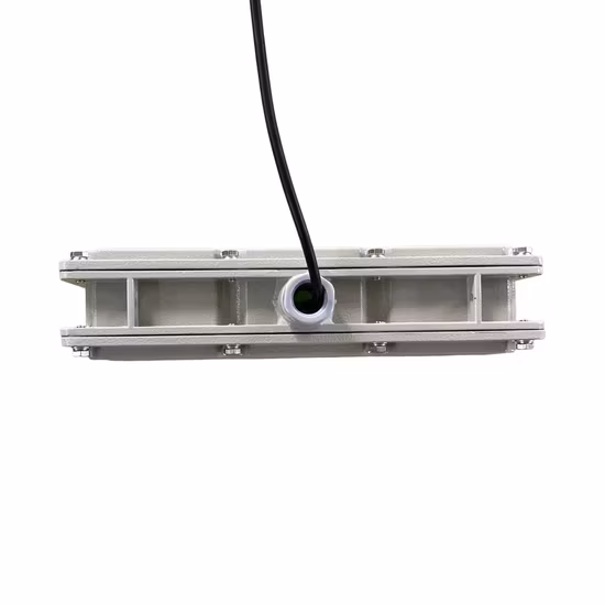 Lampada antideflagrante per stazione di servizio IP66 LED per industria chimica